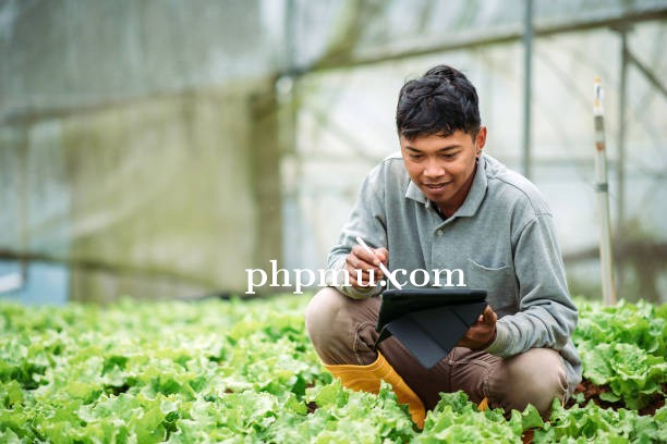 Keuntungan Kuliah Jurusan Agribisnis bagi Calon Pengusaha Muda