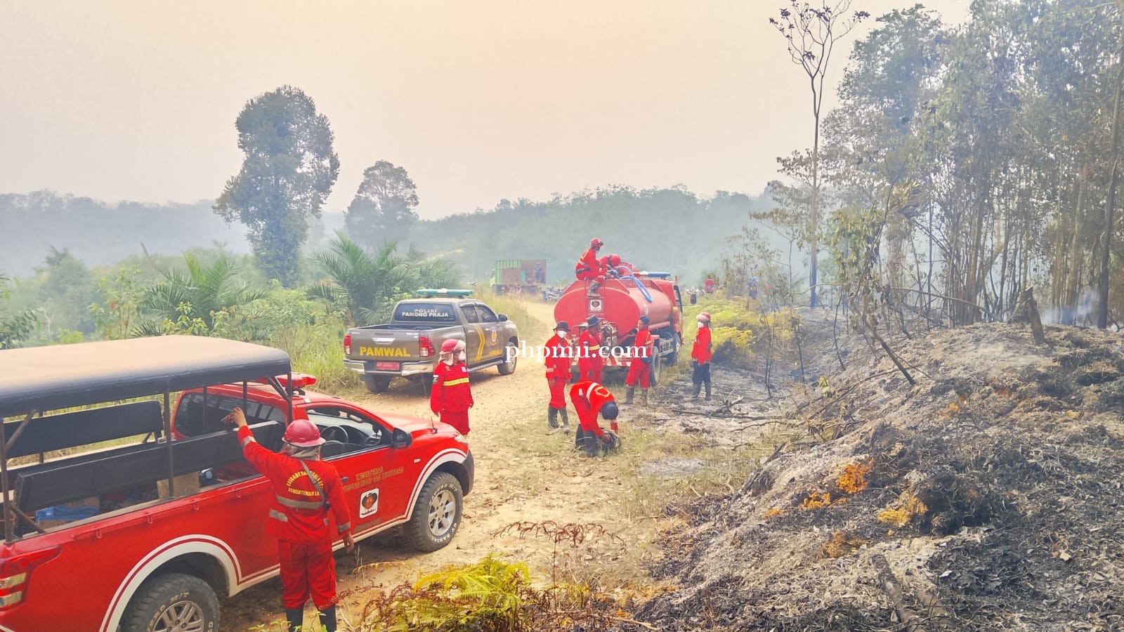 Tim Gabungan Padamkan Karhutla di Sungai Pulai Batanghari, Setengah Hektare Lahan Terbakar
