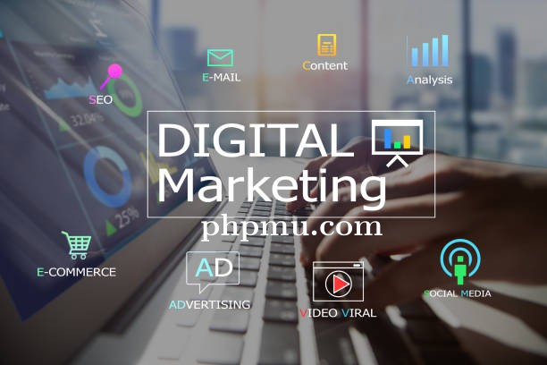 Alasan Agensi Digital Marketing Jadi Investasi Penting di Era Bisnis Online