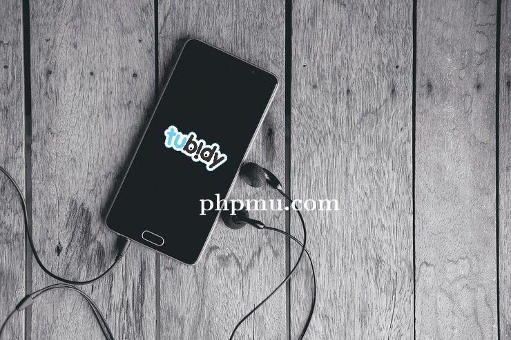 Tips Menggunakan Tubidy agar Unduhan Lebih Efisien