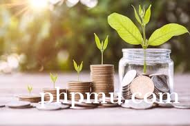 Panduan Akumulasi Saham Pra IPO untuk Diversifikasi Portofolio