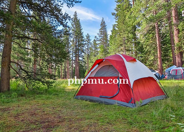 Perbandingan Jenis Tenda Keluarga untuk Kegiatan Outdoor dan Liburan